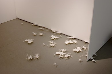 <i>groundcover</i> [installation]