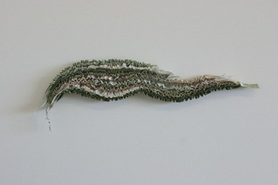 <i>layered</i>