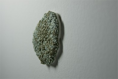 <i>cluster (one)</i>